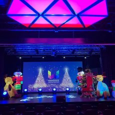 dekoracje świąteczne wynajem